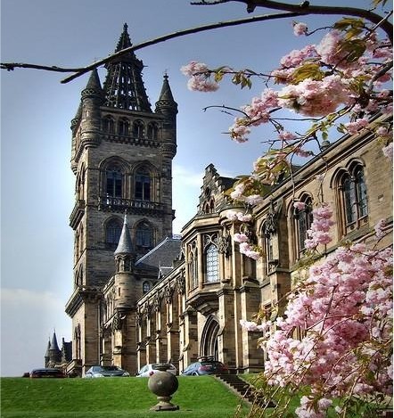 �������Ӣ����ѧ